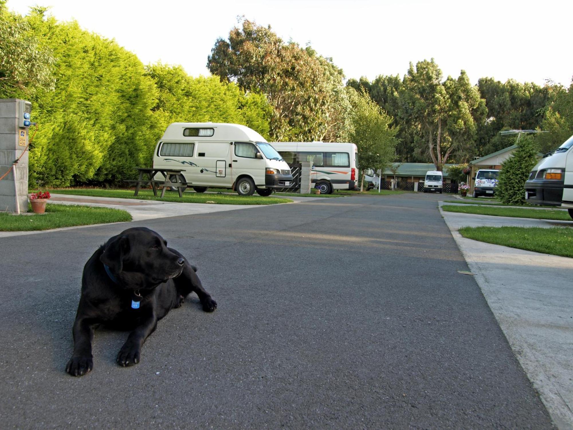 Invercargill Holiday Park & Motels מראה חיצוני תמונה
